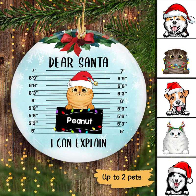 Christmas Dog Cat Mugshot I Can Explain Personalized Decorative Circle Ornament