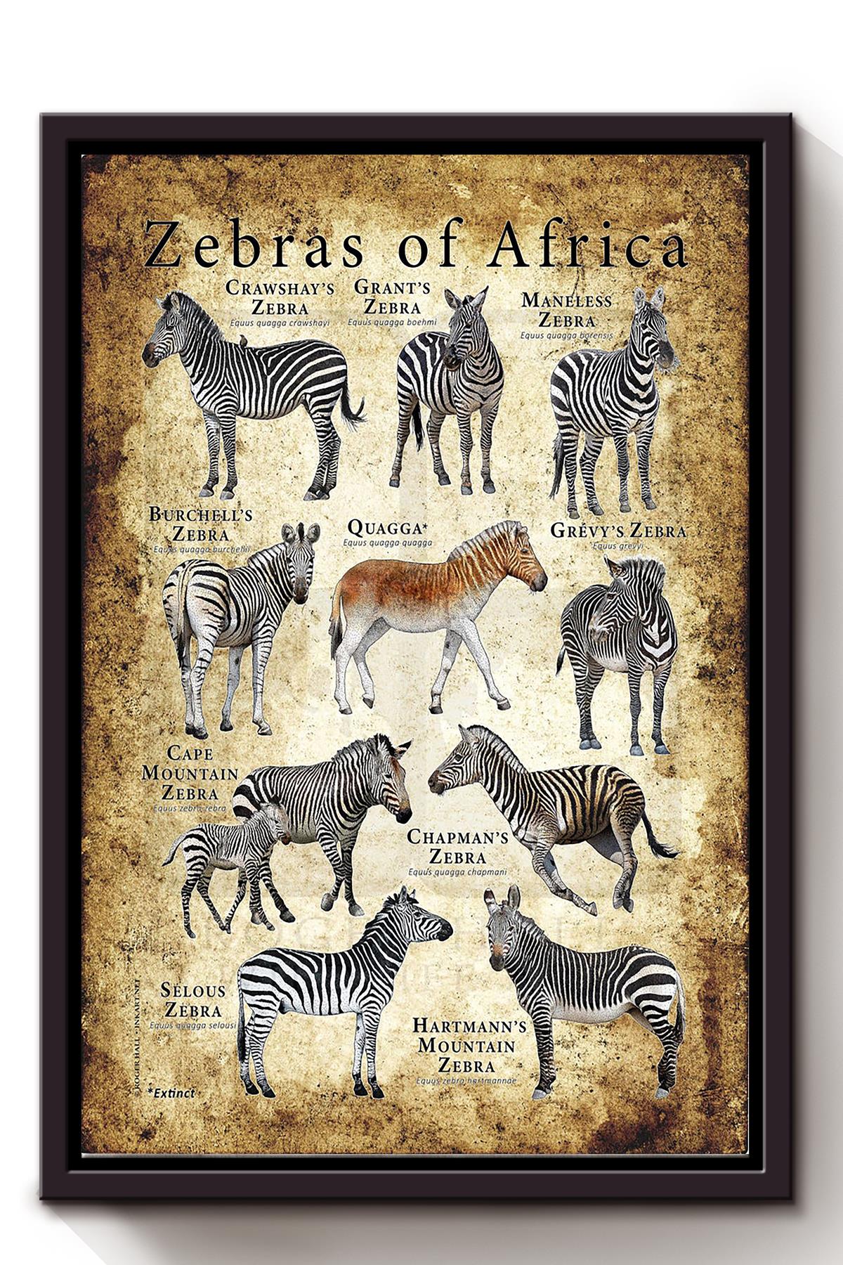 Zebras Of Africa Animal Wall Decor Gift For Explorer Zoologist Framed Matte Canvas