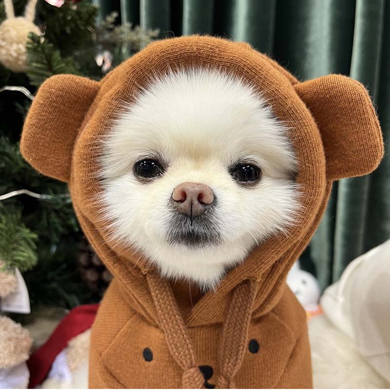 Winter New Product INS Wind Cute Bunny Bear Ears Wear Hoodie Plus Velvet Thick Soft Waxy Warm Cotton Sweater alx