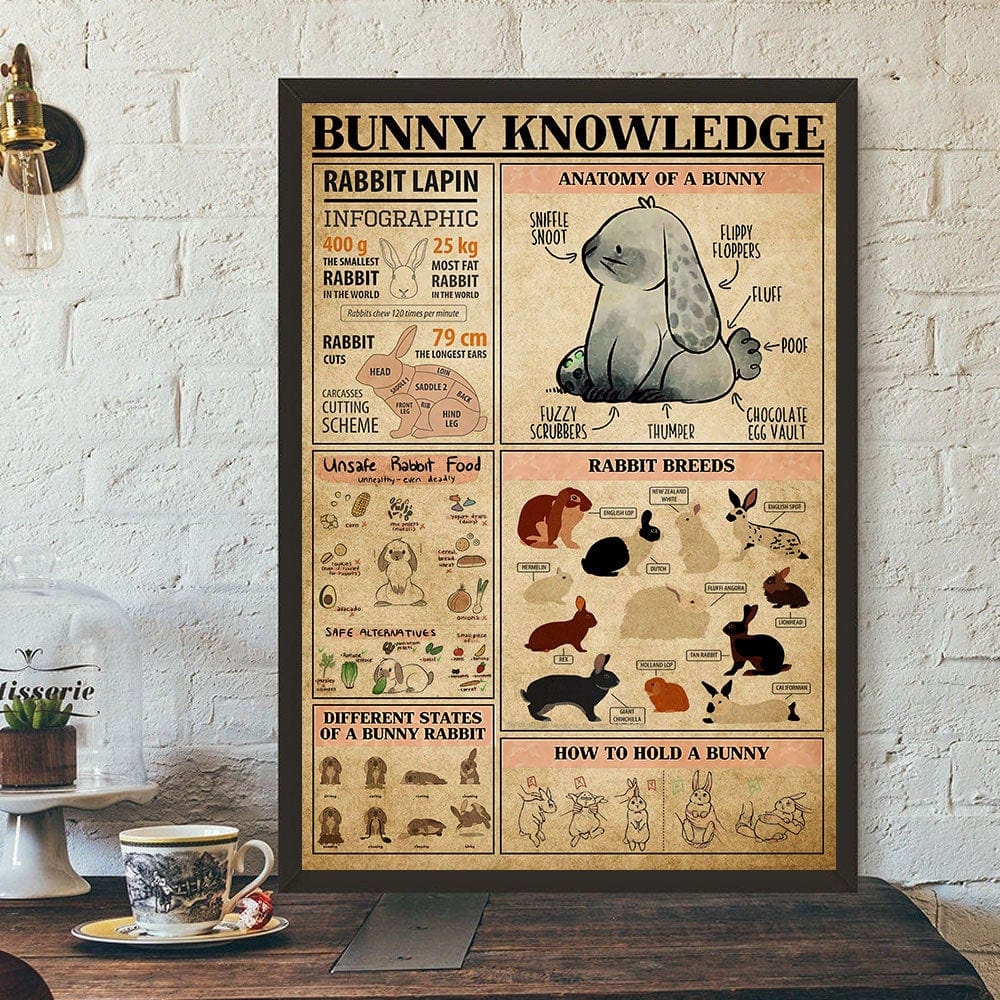 Bunny Knowledge Poster  Canvas