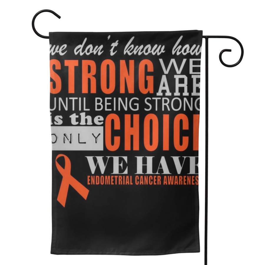 2 Pcs Garden Flag Endometrial Cancer Awareness Horizontal Poster 12.5″x18″ -Mothers Day, Birthday Gifts for Mom, Dad, Wife, Husband, Daughters, Grandma, Friends