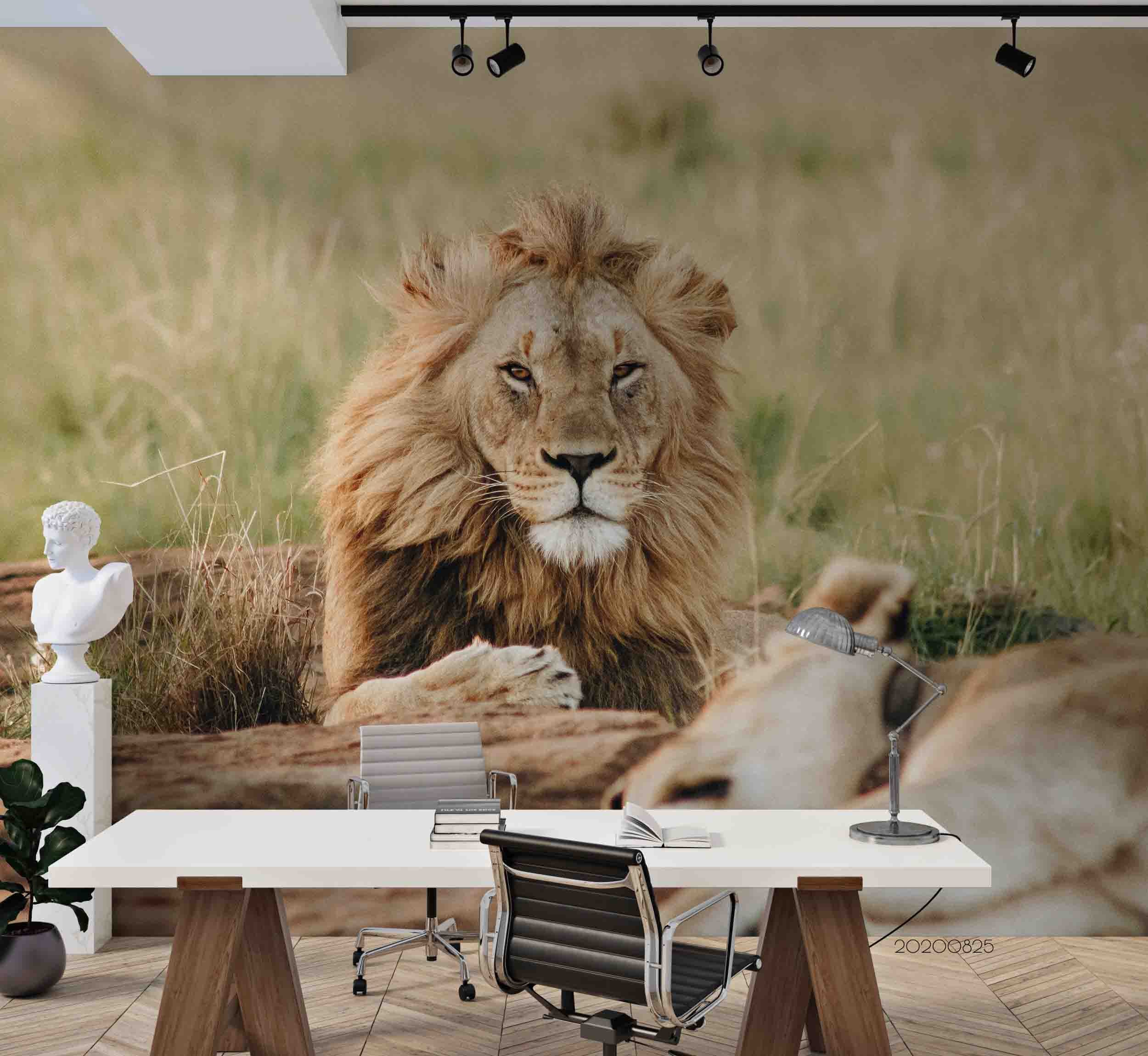 3D Wild Animal Lion Wall Mural Wallpaper 20 Lqh