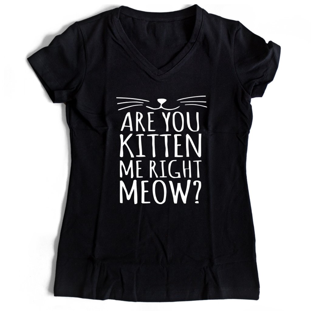 Are You Kitten Me Right Meow Funny Women’s V-Neck Tee T-Shirt