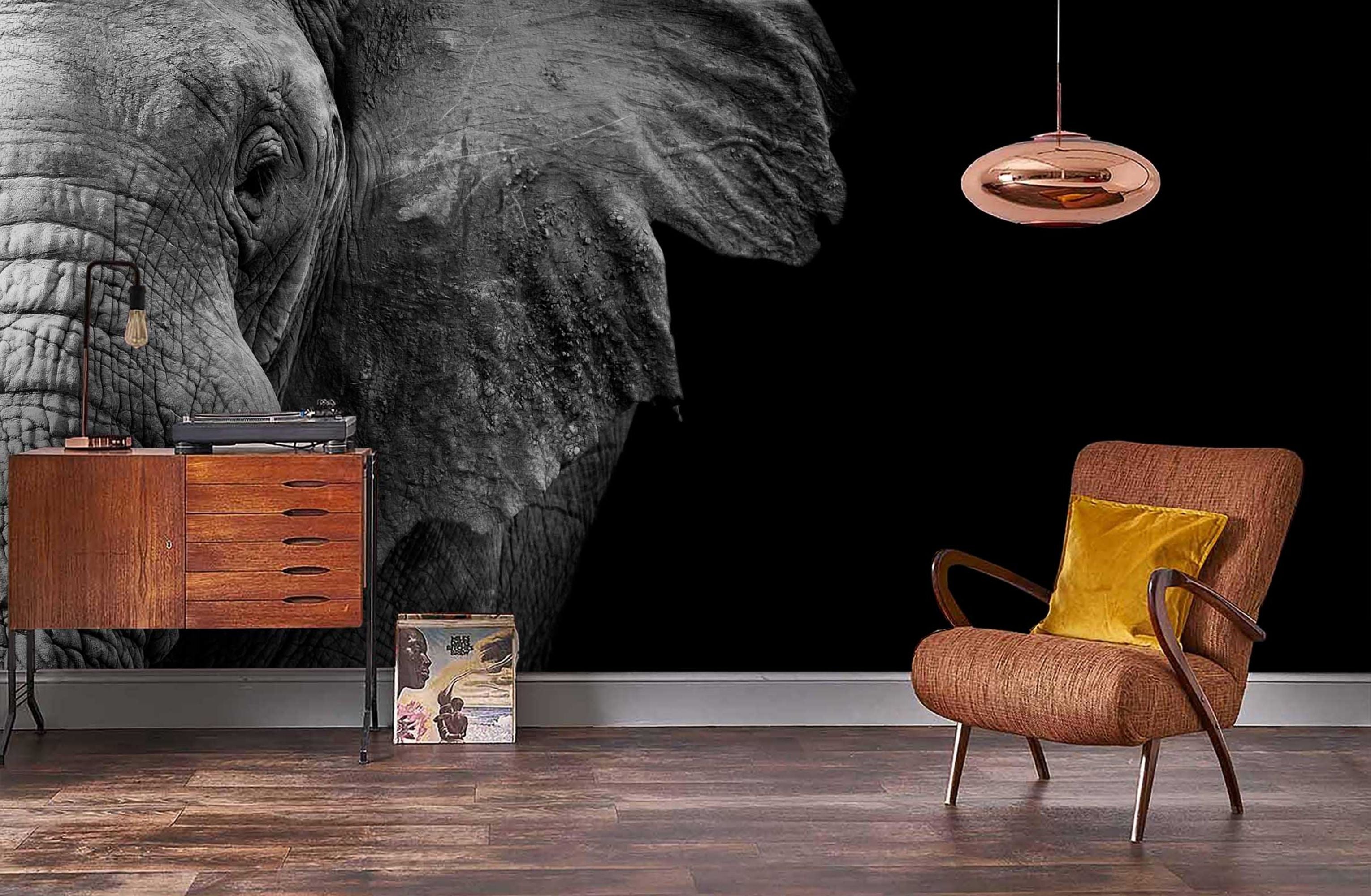 3D Retro Animal Elephant Black Background Wall Mural Wallpaper Gd 1810