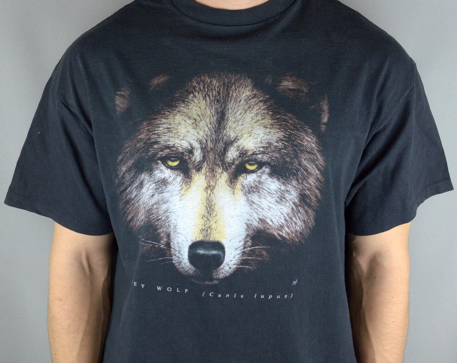 Vintage 3D Emblem Grey Wolf Canis Lupus T Shirt Made In Usa Single Stitch