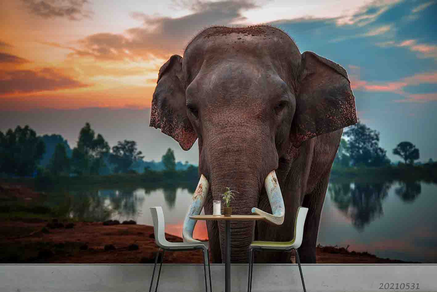 3D Tropics Elephant River Sunset Wall Mural Wallpaper Sww785