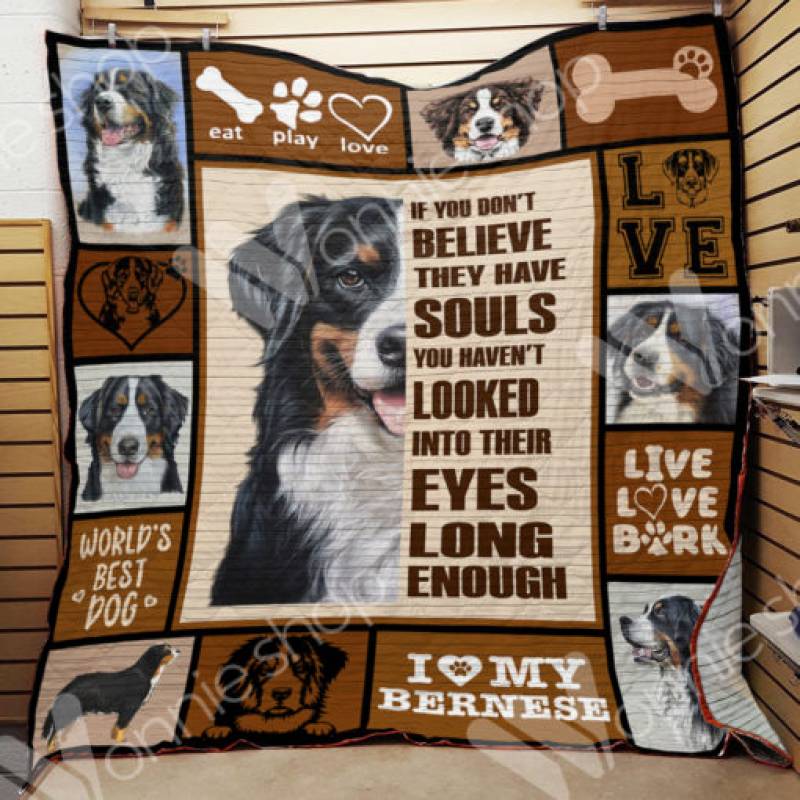 Bernese Mountain Dog Blanket DCB1701 73O39