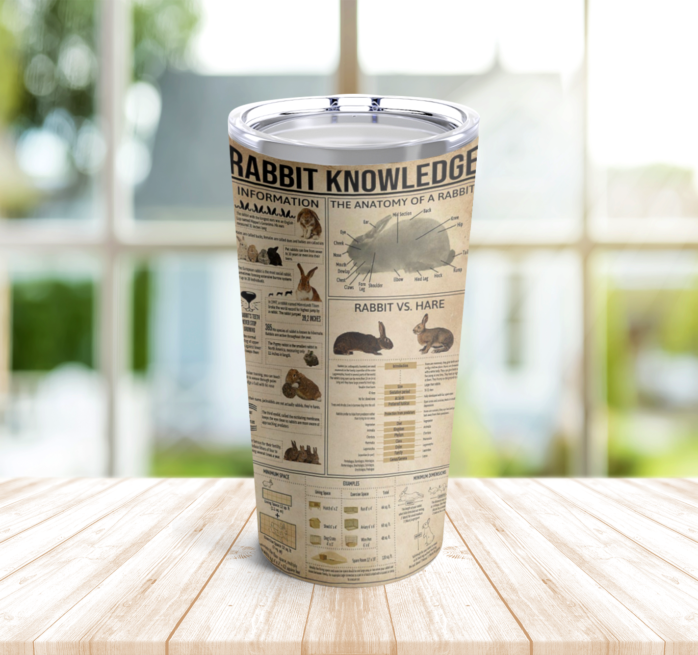 Rabbit Knowledge 1 Tumbler Stainless Steel 20Oz