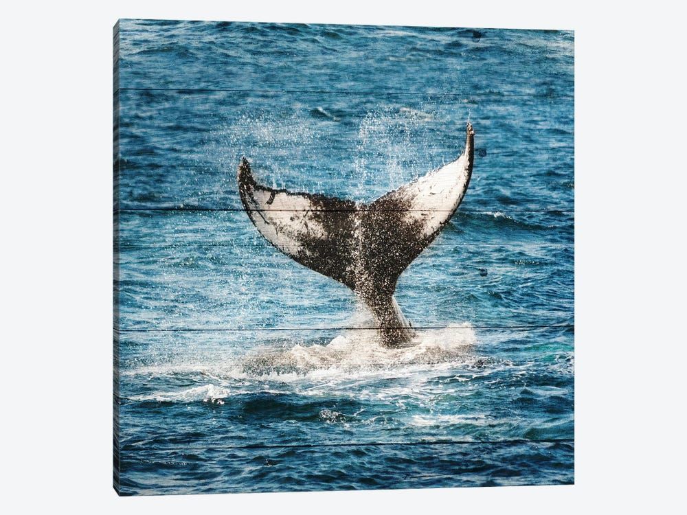 Tails Of The Whale Canvas Poster 8″x12″ 12×18″ 18″x26″ 24″x36″ 30″x45″