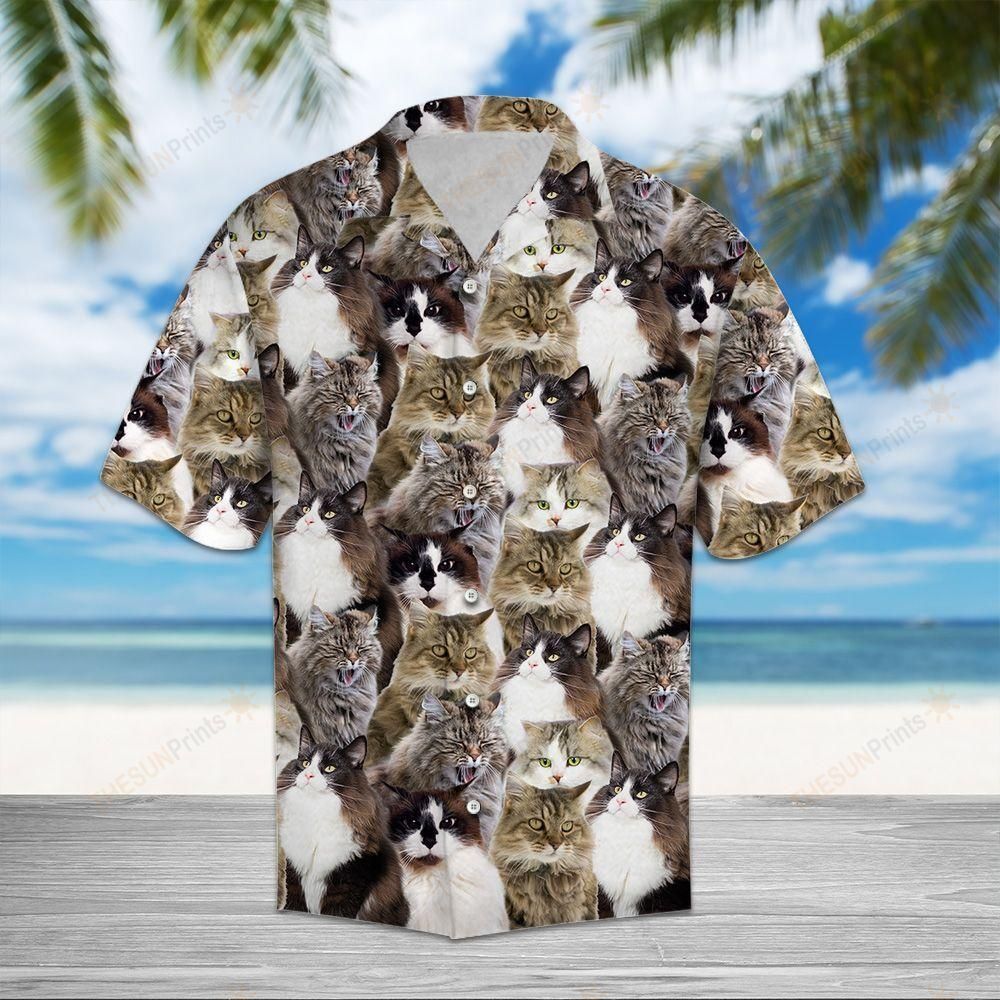 Ragamuffin Awesome Hawaiian Shirt Ha96242