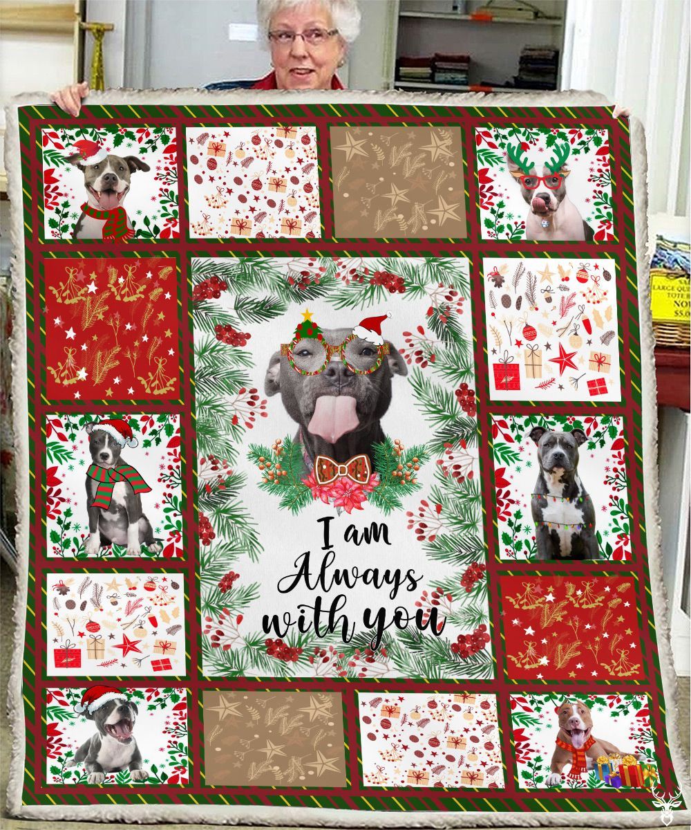 TJJ072010G02GH PITBULL BLANKET QQ