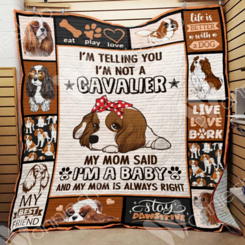 Cavalier King Charles Spaniel Dog Blanket NOV2901 90O35