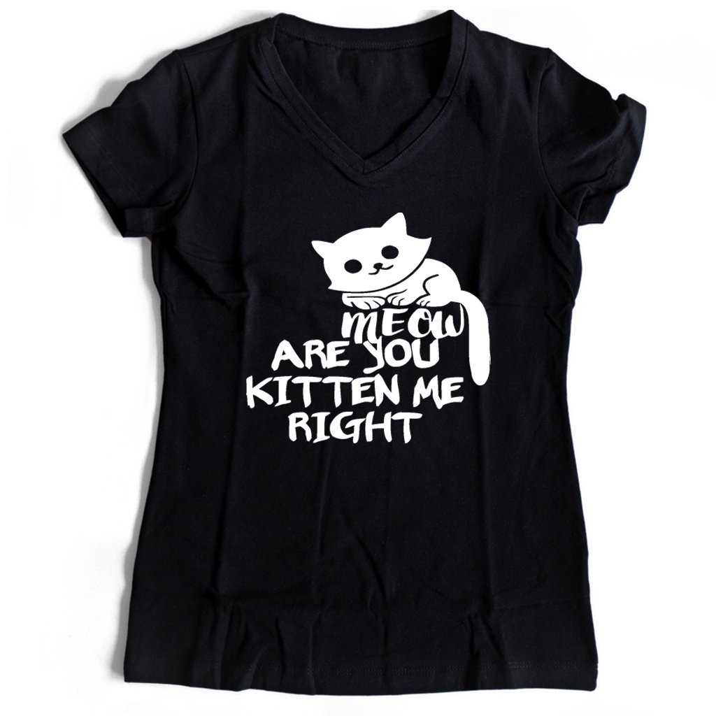 Are You Kitten Me Right Meow Classic Women’s V-Neck Tee T-Shirt