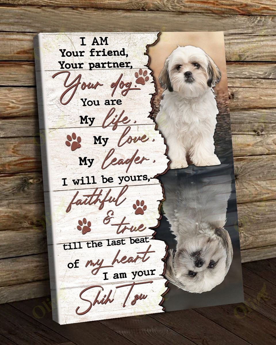 I’M Your Amazing Shih Tzu Canvas And Poster | Wall Decor Visual Art
