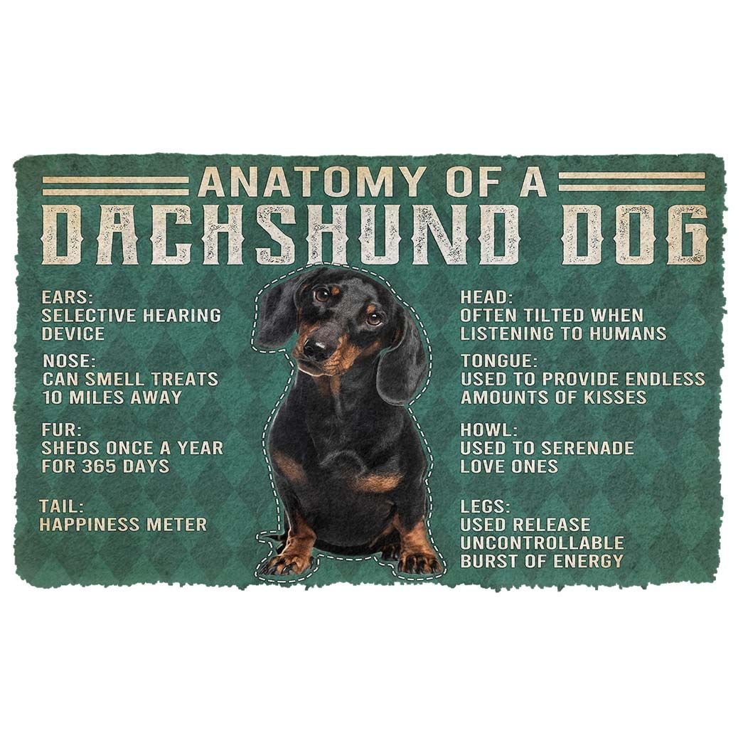 Alohazing 3D Anatomy Of A Dachshund Dog Doormat