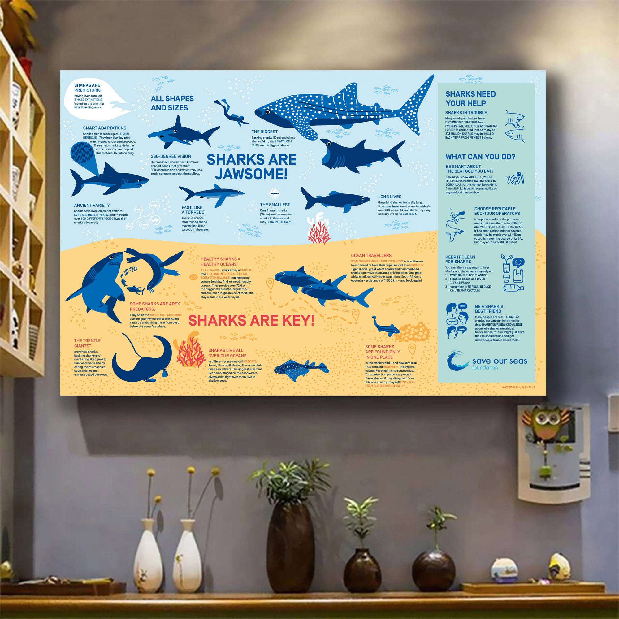 Brochure Infographie Sharks Poster