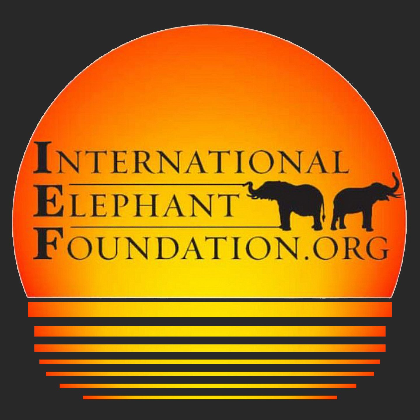 International Elephant Foundation Sunset Logo – Adult Unisex Hoodie Sweatshirt