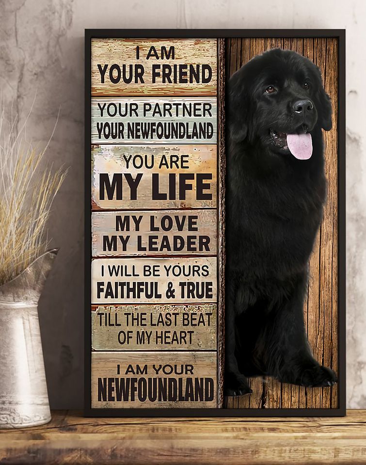 The dogs newfoundland my life faithful and true animals  Home Living Room Wall Decor Vertical Poster Canvas G95