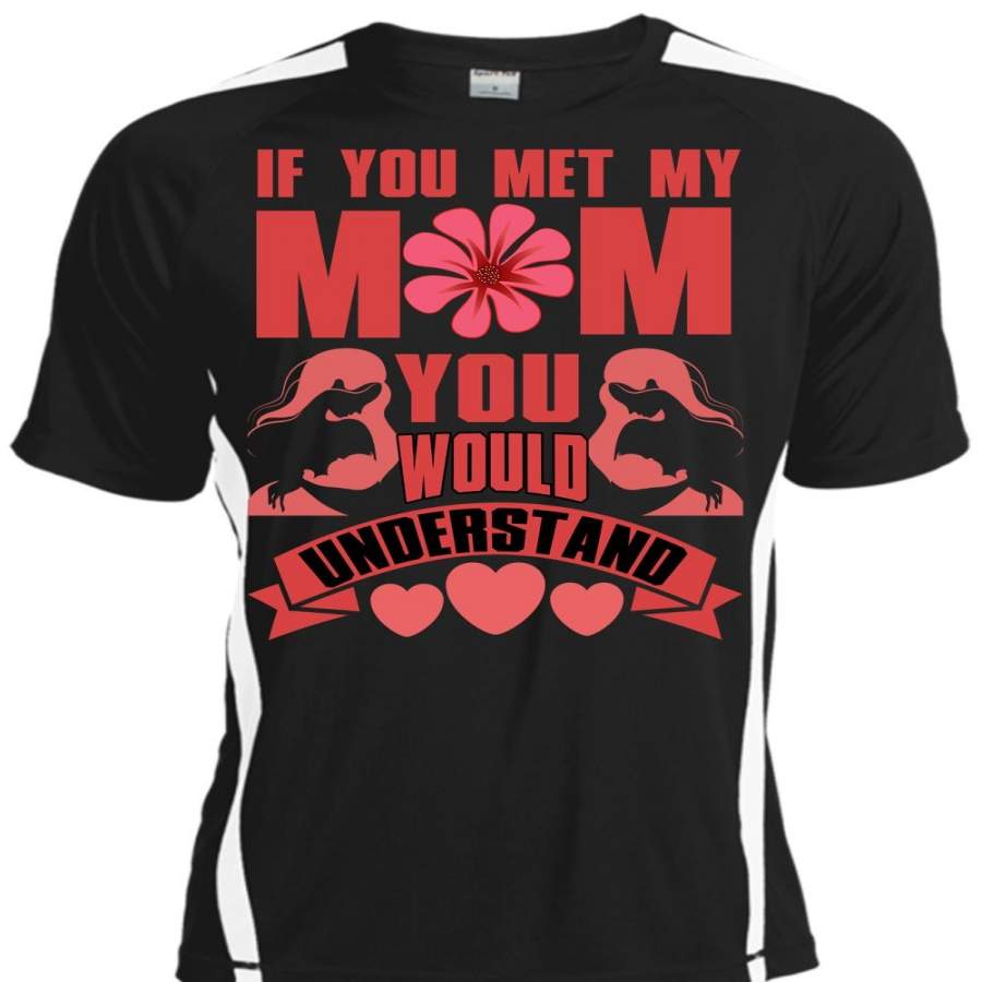 You Met My Mom T Shirt, You Would Understand T Shirt, Cool Shirt