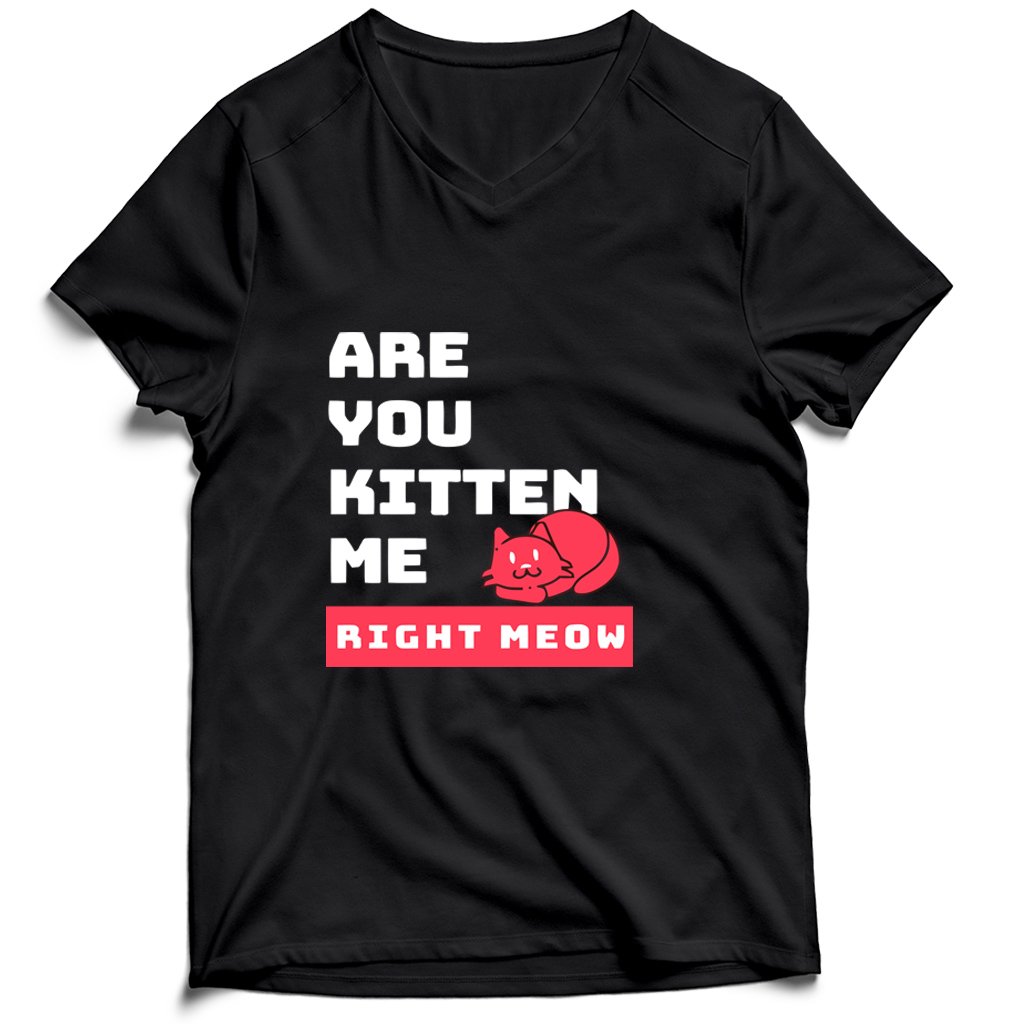 Are You Kitten Me Right Meow Two Men’s V-Neck Tee T-Shirt