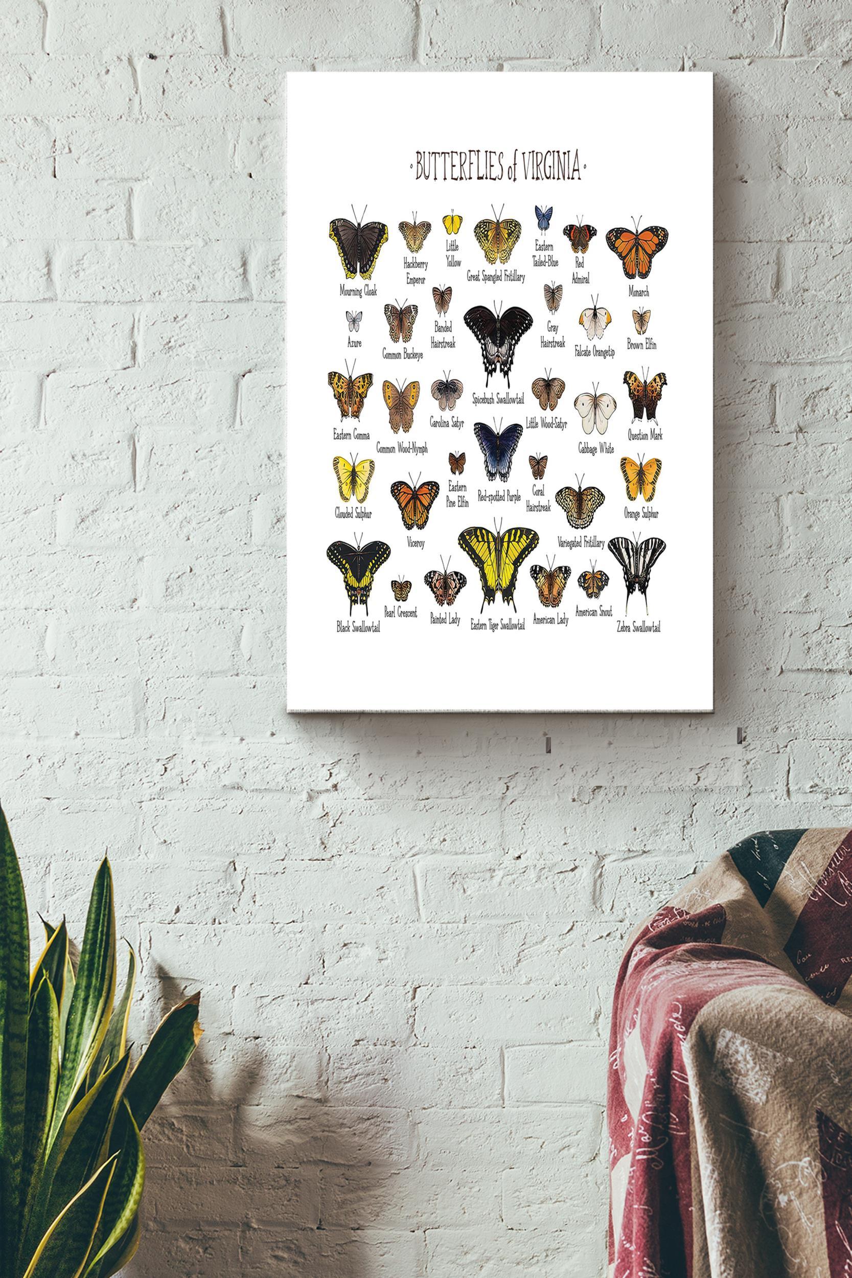 Butterflies Of Virginia Poster – Home Decor Wall Art – Gift For Butterfly Lover, Insect Collector Wrapped Canvas