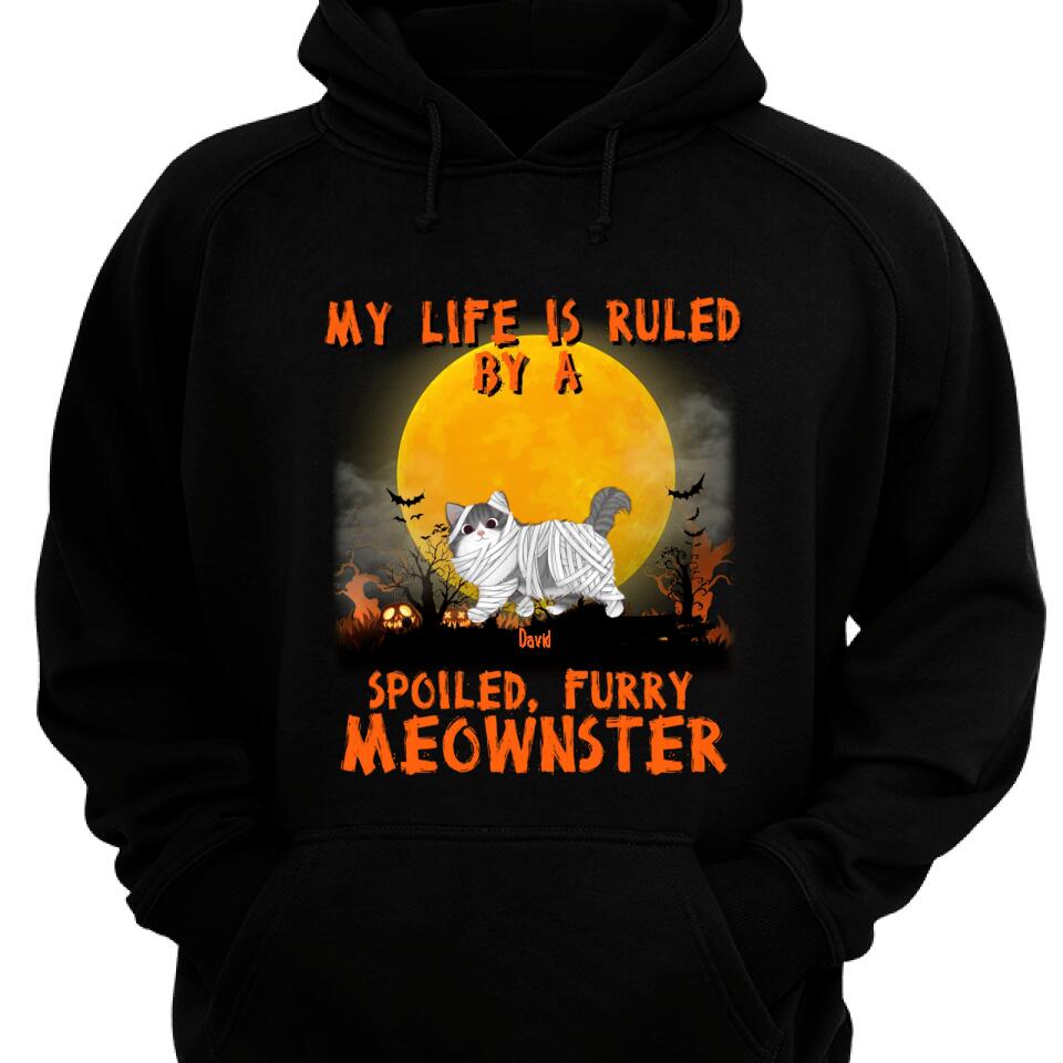 Mother, Father Of Meownsters – Personalized Hoodie For Cat Lovers – Trending Personalized