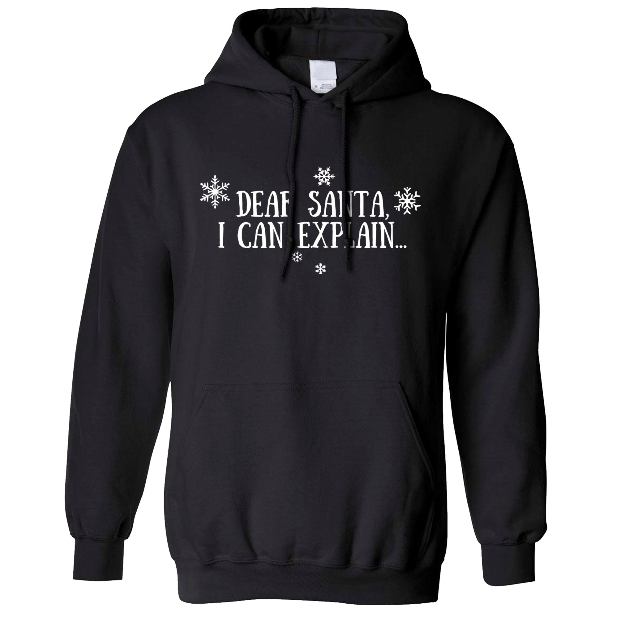 Dear Santa, I Can Explain Christmas Hoodie