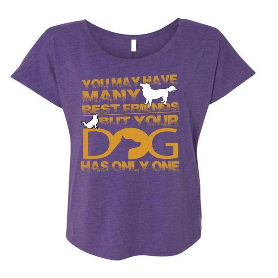 Your Dog Has Only One T Shirt, You May Have Many Best Friend T Shirt, Cool Shirt (Ladies’ Triblend Dolman Sleeve)