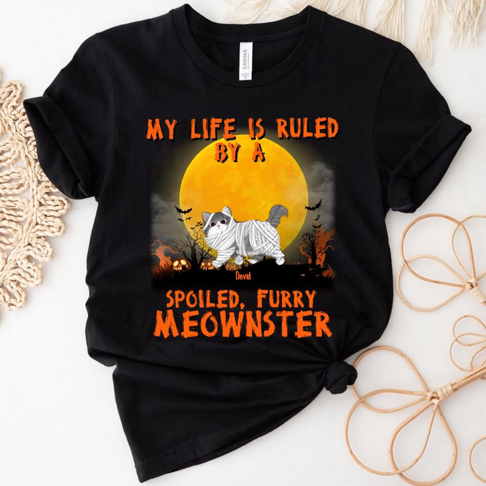 Mother, Father Of Meownsters – Personalized Women Shirt For Cat Lovers – Trending Personalized