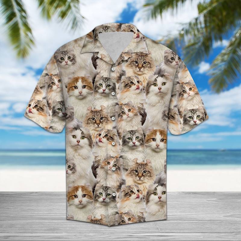 American Curl Awesome Hawaiian Shirt Ha85443