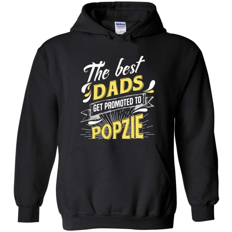Best Dads Get Promoted To Popzie Christmas Gift for Grandpa Hoodie