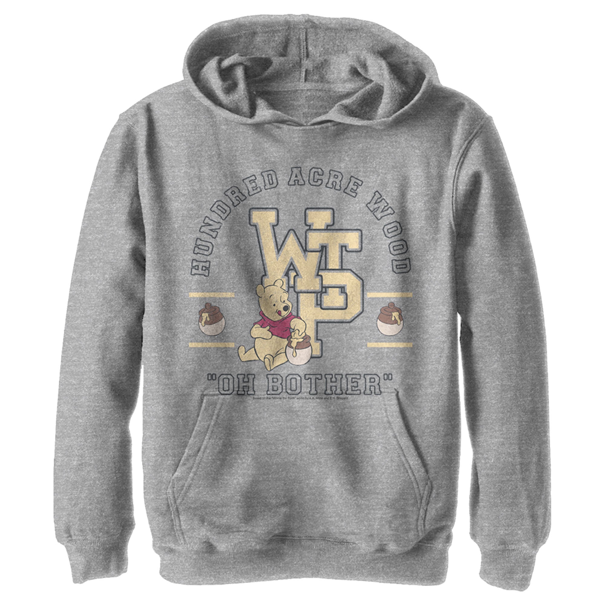 Boy’S Winnie The Pooh Bear Collegiate Pull Over Hoodie