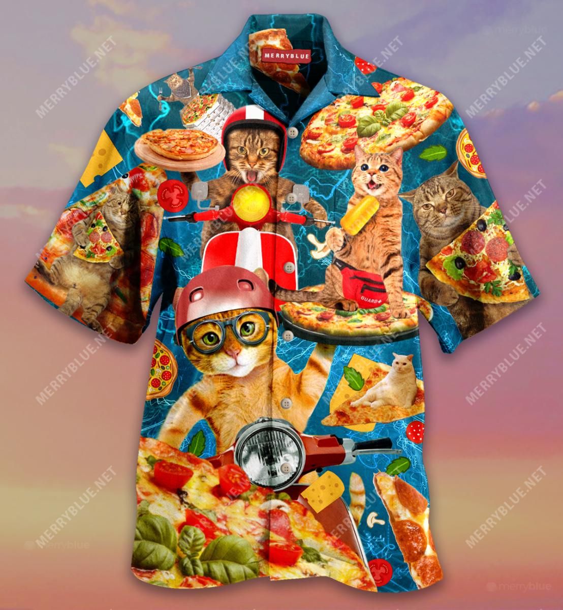 All I Need Is Pizza And My Cat Aloha Hawaiian Shirt Colorful Short Sleeve Summer Beach Casual Shirt For Men And Women