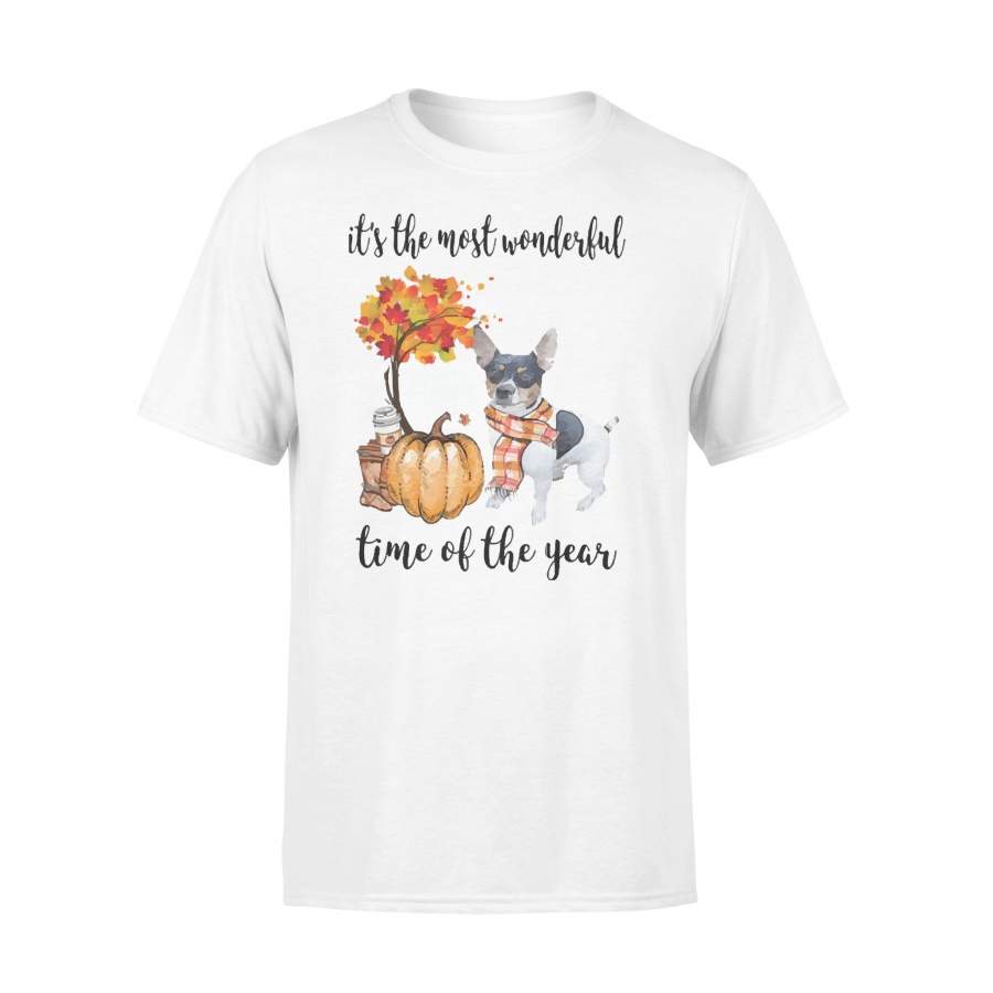 Fall Pumpkin It’s The Most Wonderful Time Of The Year Rat Terrier T-Shirt