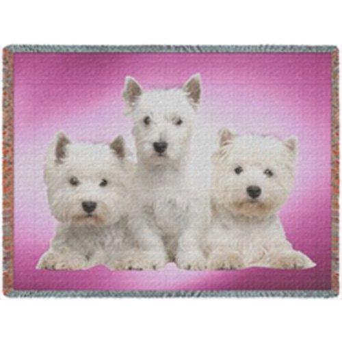 West Highland Terrier Dog Woven Throw Blanket 54 X 38 White