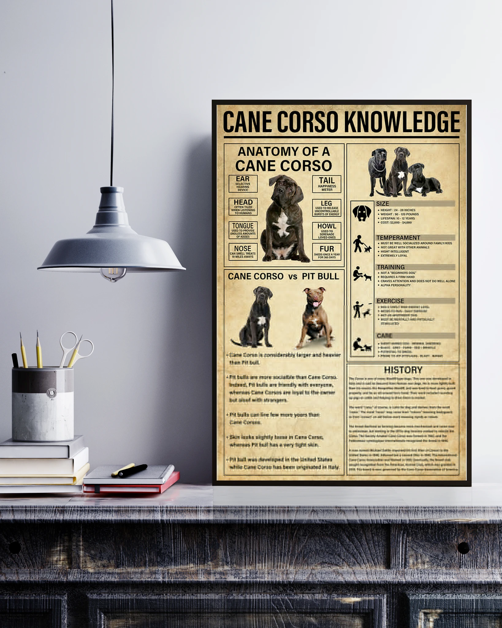 Cane Corso Knowledge Poster