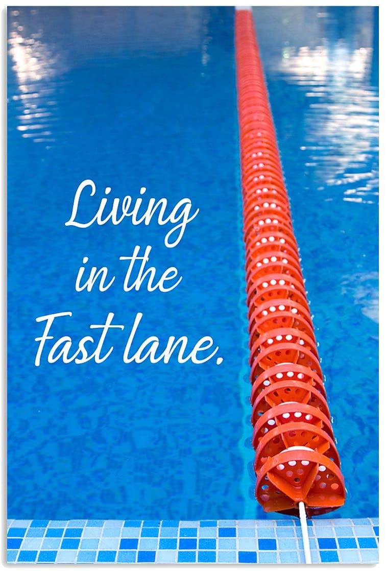 Vintage Living In The Fast Lane Sky Swimming Pool Poster Art Print      Home Decor Gift For Men Women Family Friend On Birthday Xmas