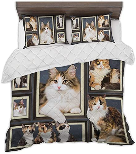 Zbigtee Calicos Cat Picture Frames Set Qbs Comfy Funny Bed Quilt Bed Set Bedding Set Animal Cat