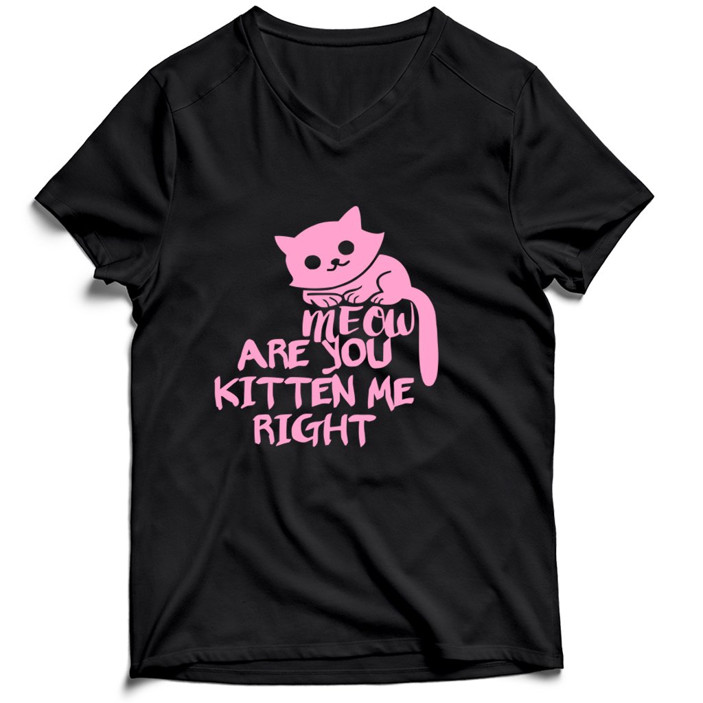 Are You Kitten Me Right Meow Four Men’s V-Neck Tee T-Shirt