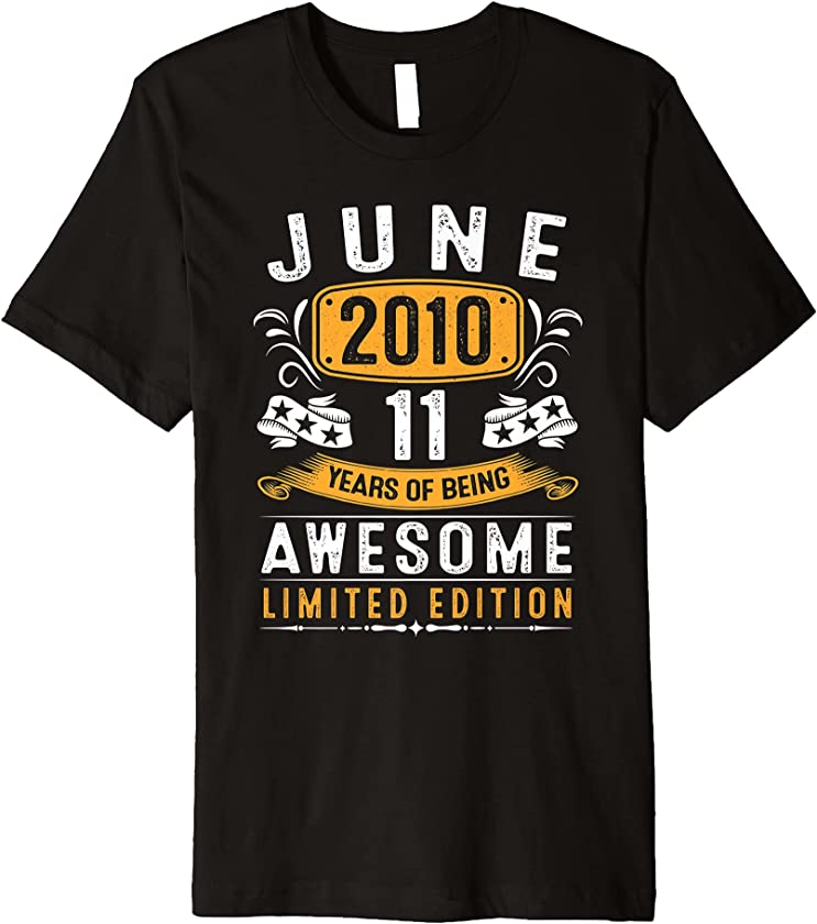 11th Birthday Gift Vintage June 2010 Men Women 11 Year Old Premium T-Shirt