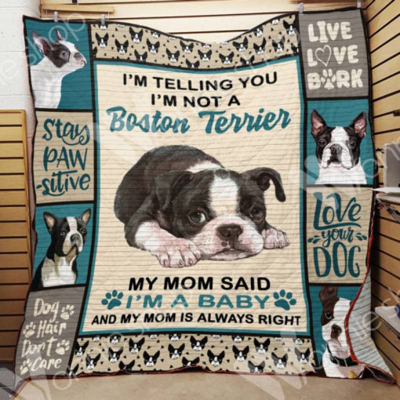 Boston Terrier Dog Blanket DCB0401 70O49