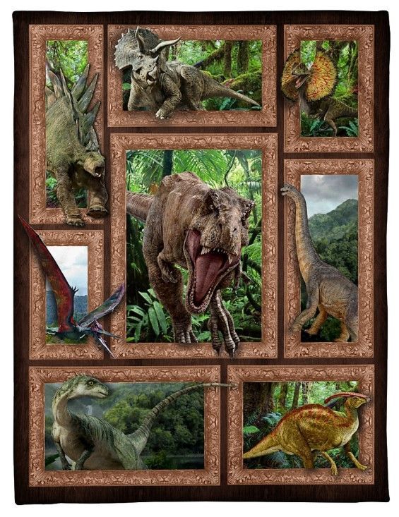 3D Dinosaur CLM2312003S Sherpa Fleece Blanket