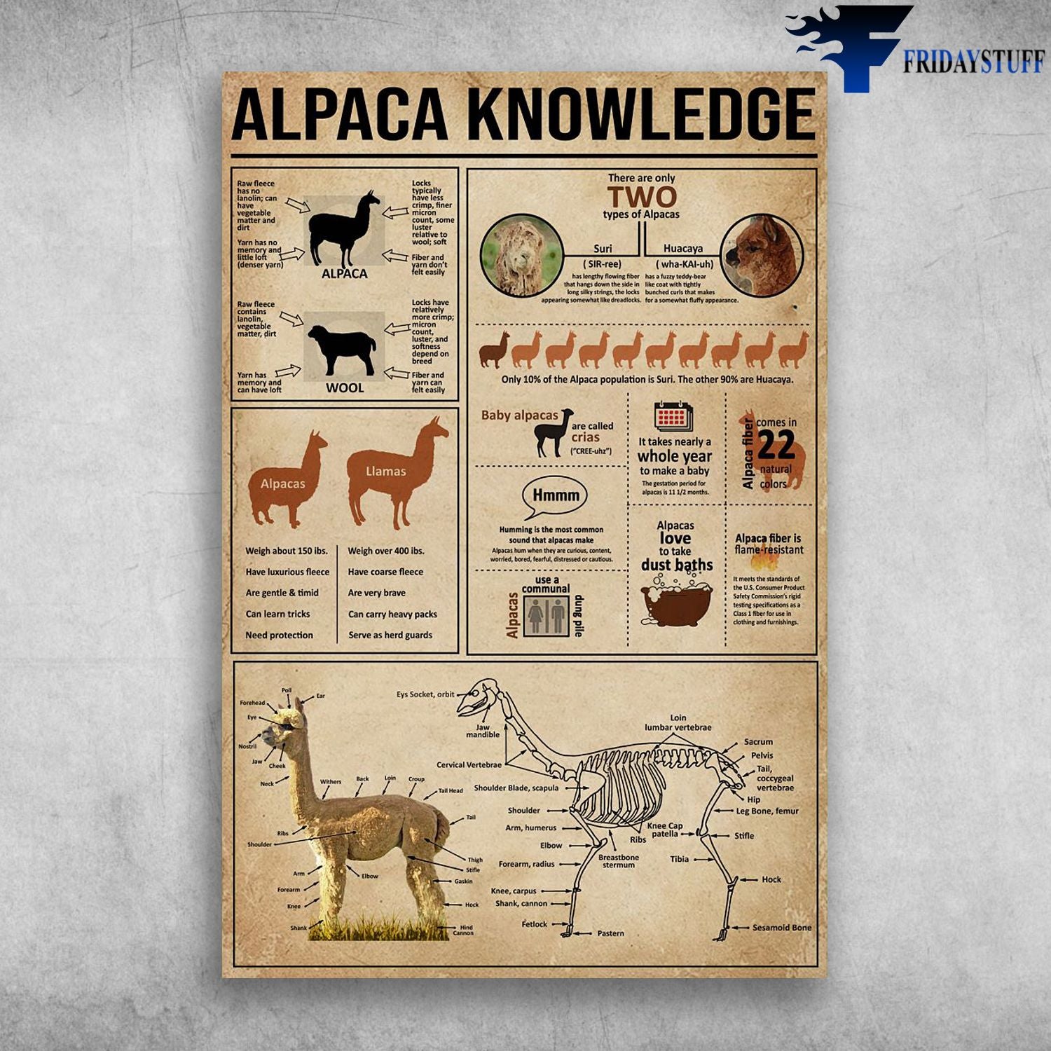 Alpaca Knowledge There Are Only Two Types Of Alpacas Canvas Christmas Gift Ideas