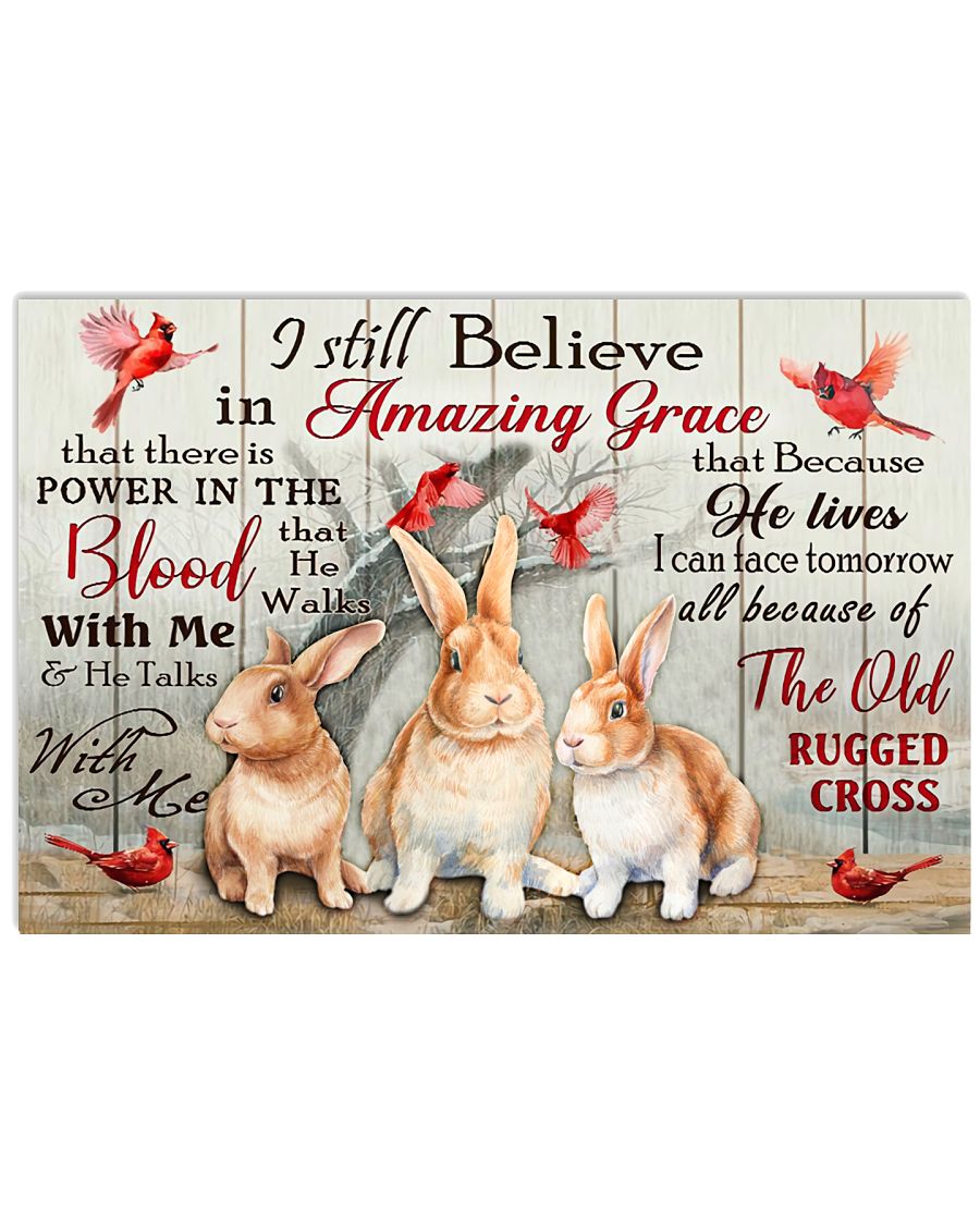 Rabbit I Still Believe In Amazing Grace Poster Print, Canvas Print Wall Art, Canvas Poster Wall Decor