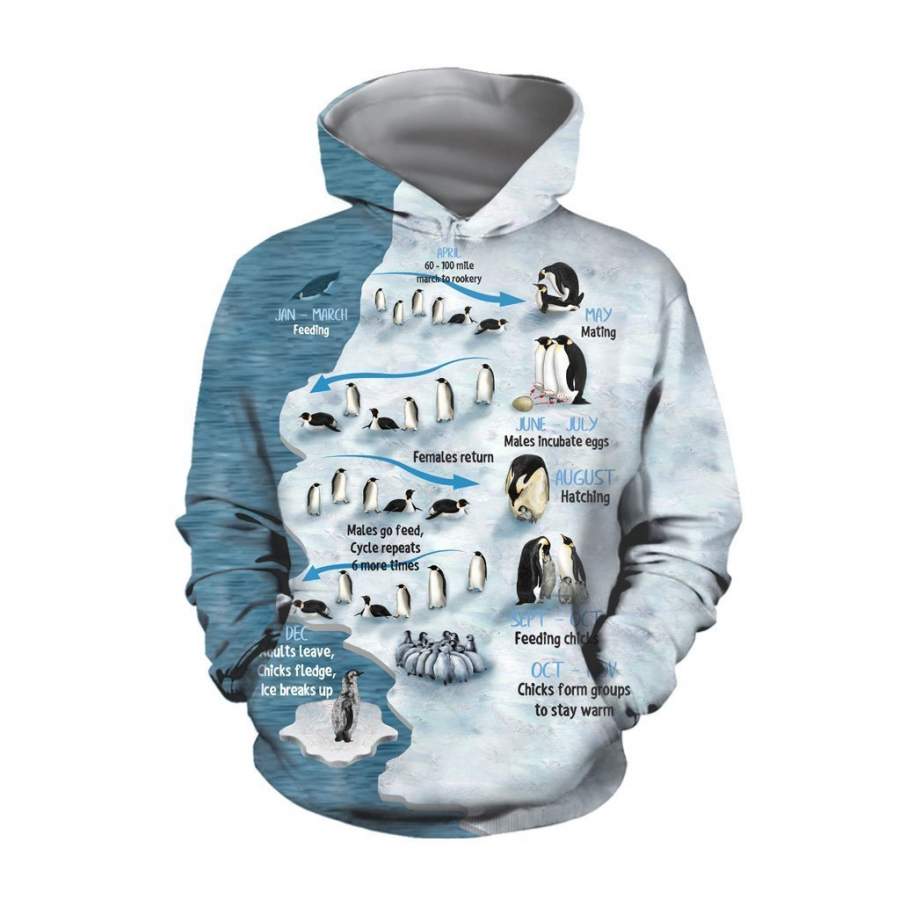 Ice sheets and penguins Hoodie