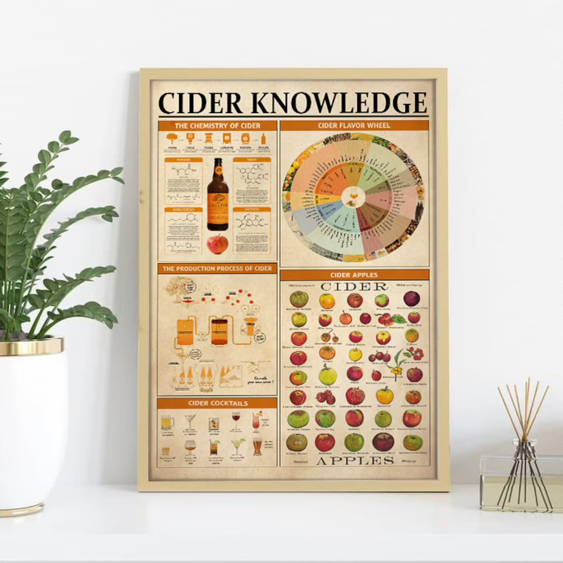 Bartender Poster Cider Knowledge Poster, Cider Cocktails Poster