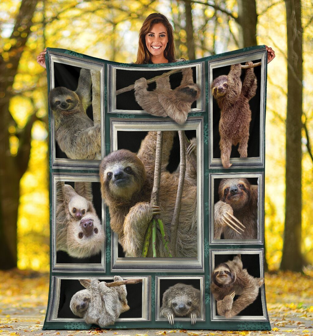 3d Sloth Funny Cute Animal Lover Gift Fleece Blanket