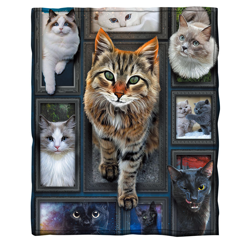 Cat 3d printed fleece blanket for Beds Hiking Picnic Thick Quilt Fashionable Bedspread Sherpa Throw Blanket Drop shipping 08 alx