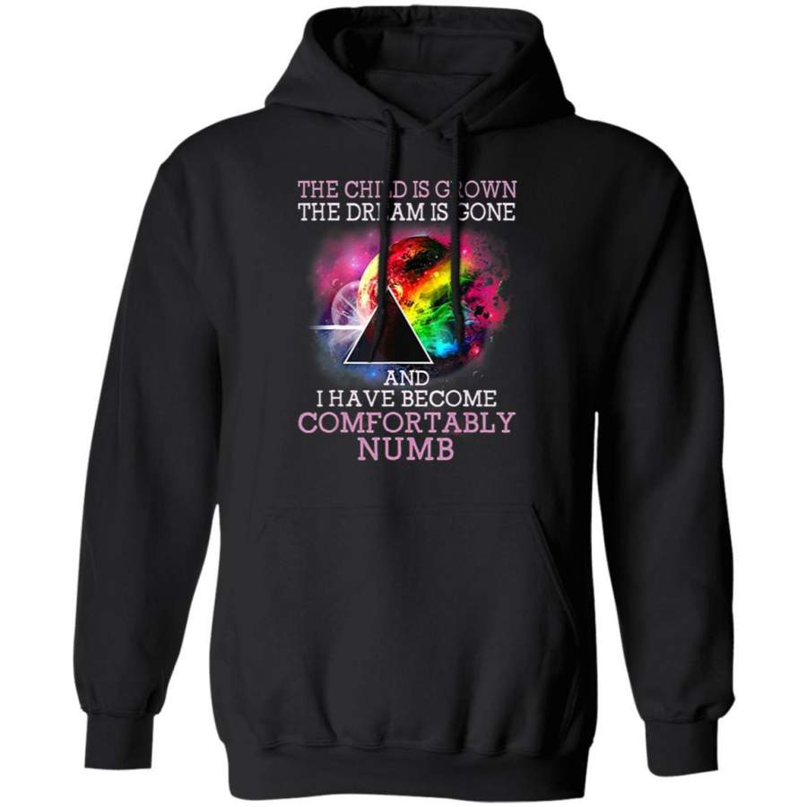 The Child Is Grown The Dream Is Gone Comfortably Numb_1935 Hoodie