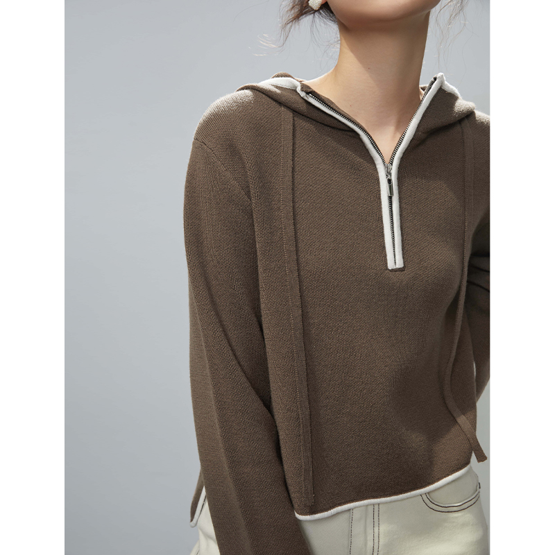 ZIQIAO Simple Casual Style Hooded Sweater Women 2022 Autumn Lazy Wind Design Chic Knitted Top Vintage Female Sweater Pullover alx